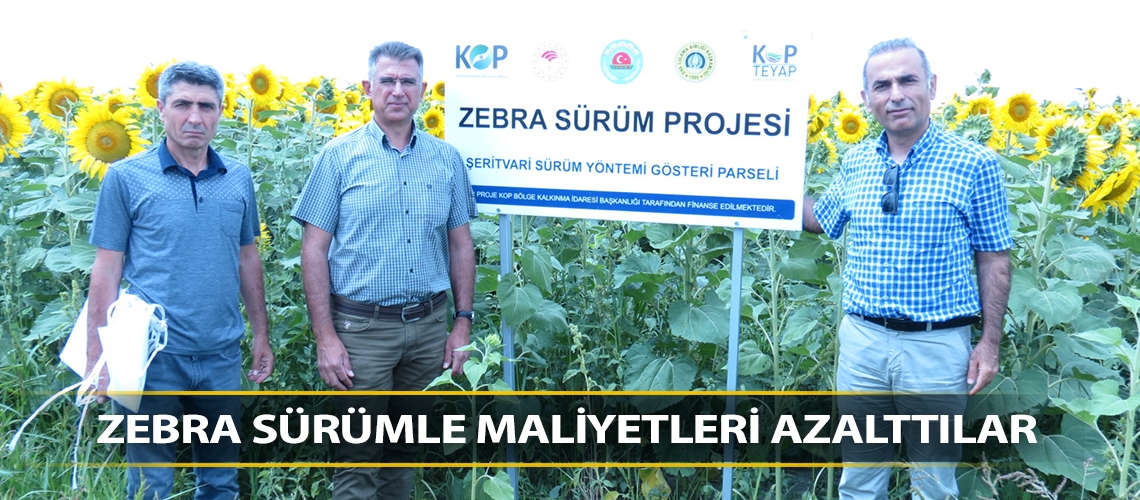 Zebra sürümle maliyetleri azalttılar