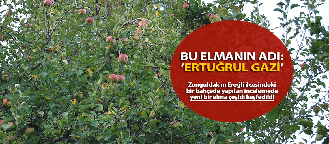 Bu elmanın adı: Ertuğrul Gazi