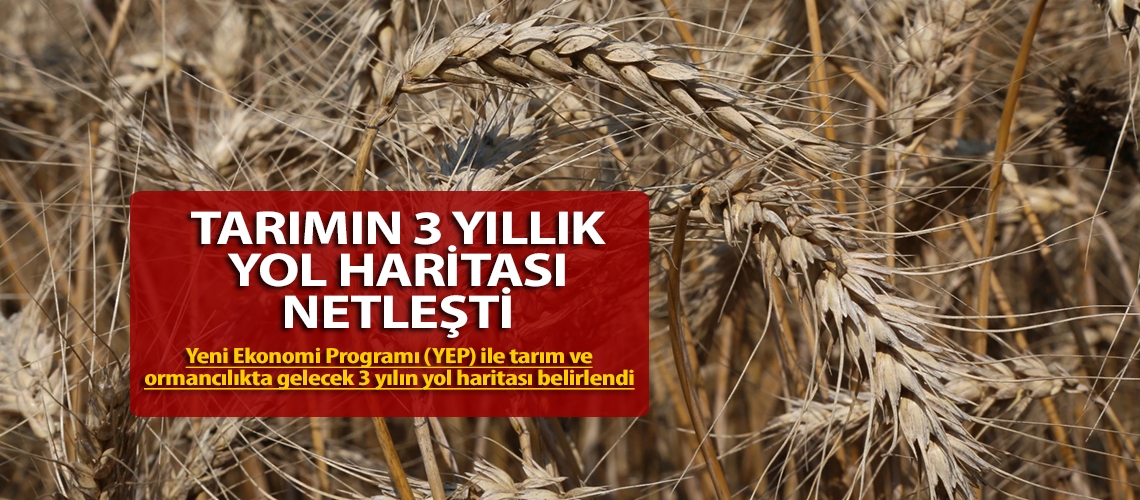 Tarımın 3 yıllık yol haritası netleşti