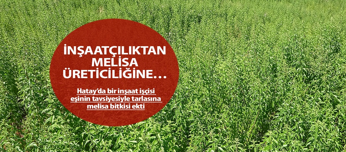 İnşaatçılıktan melisa üreticiliğine…