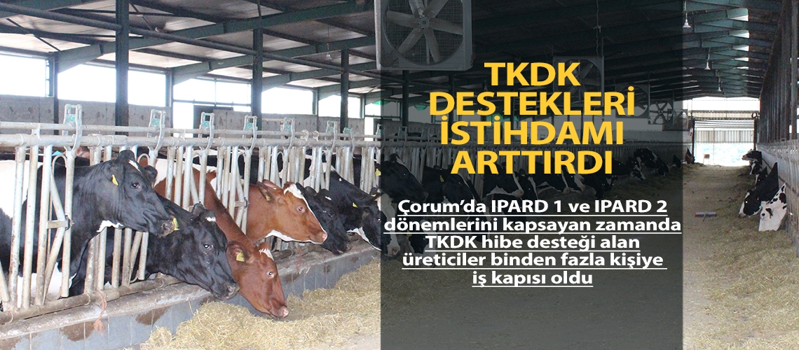 TKDK destekleri istihdamı arttırdı