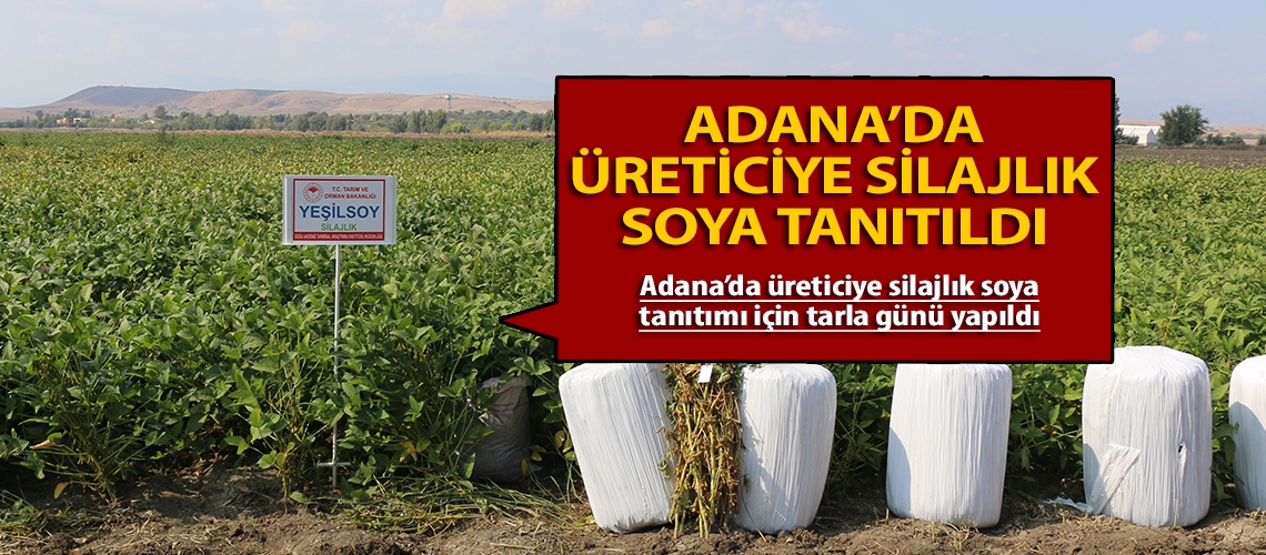 Adana’da üreticiye silajlık soya tanıtıldı