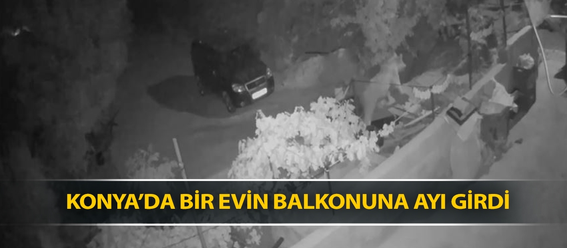 Konya’da bir evin balkonuna ayı girdi