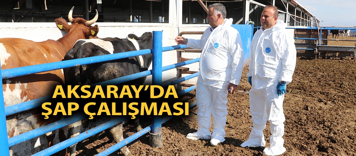 Aksaray’da şap çalışması