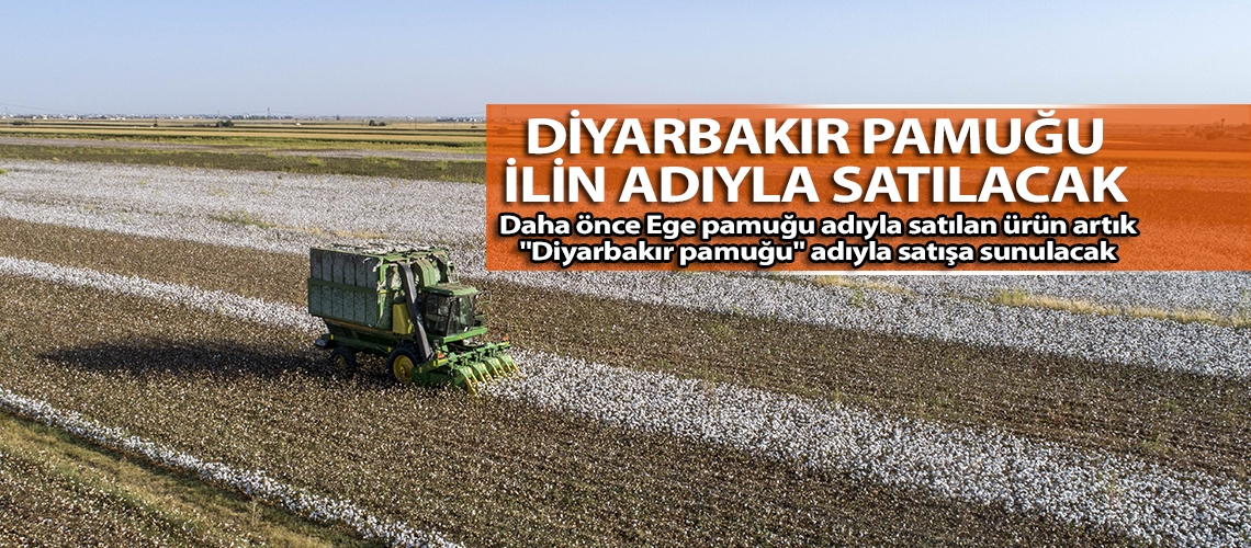 Diyarbakır pamuğu ilin adıyla satılacak