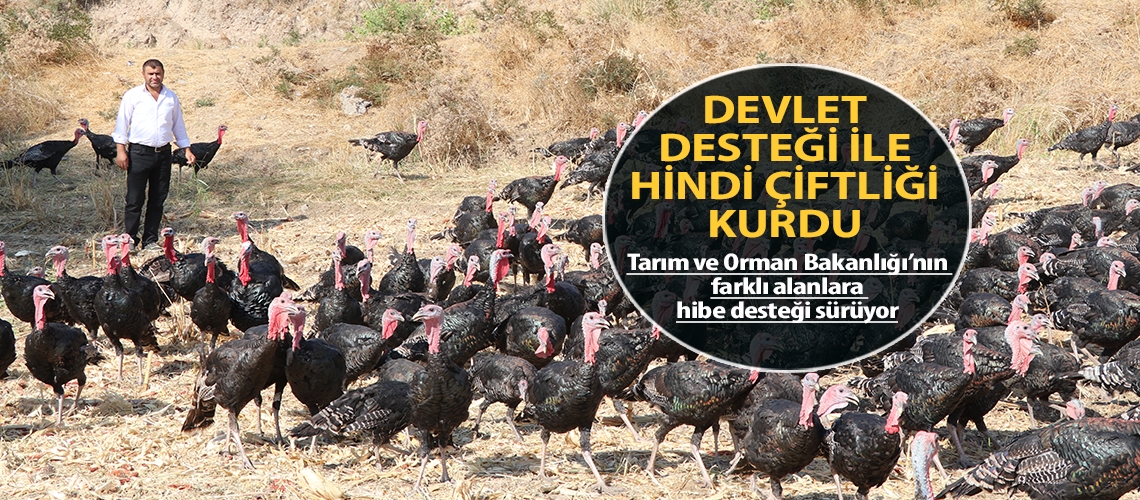 Devlet desteği ile hindi çiftliği kurdu