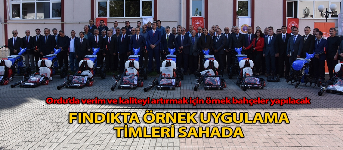 Fındıkta örnek uygulama timleri sahada