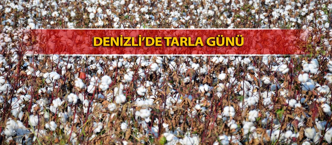 Denizli’de tarla günü