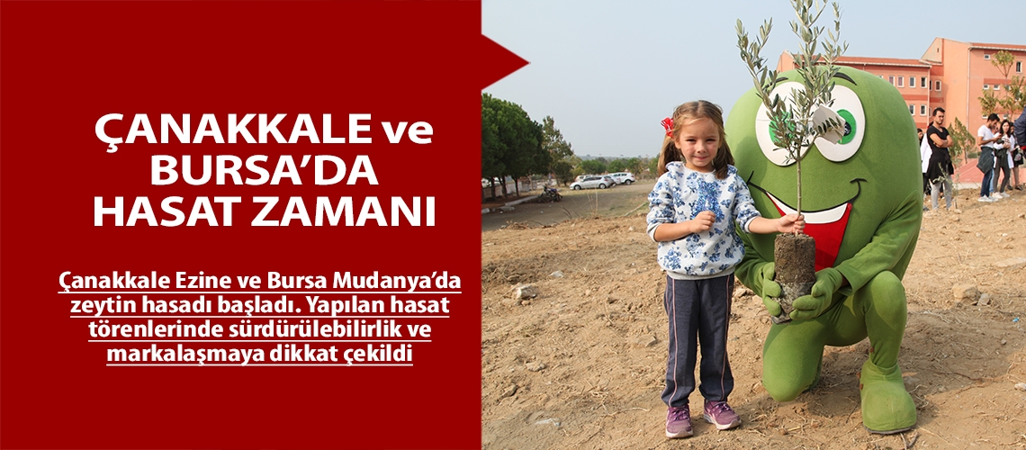 Çanakkale ve Bursa’da hasat zamanı