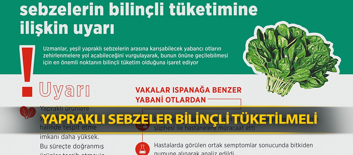 Yapraklı sebzeler bilinçli tüketilmeli