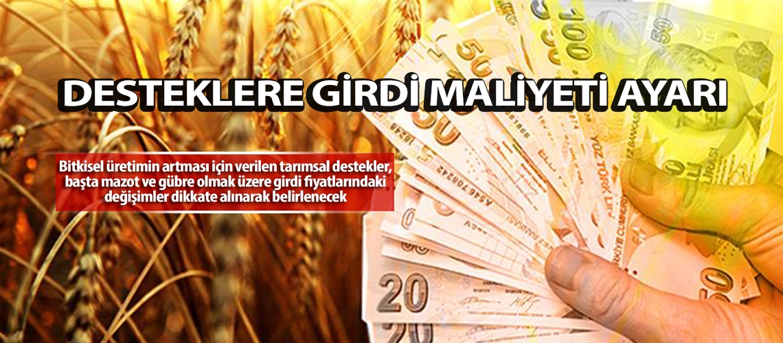 Desteklere girdi maliyeti ayarı