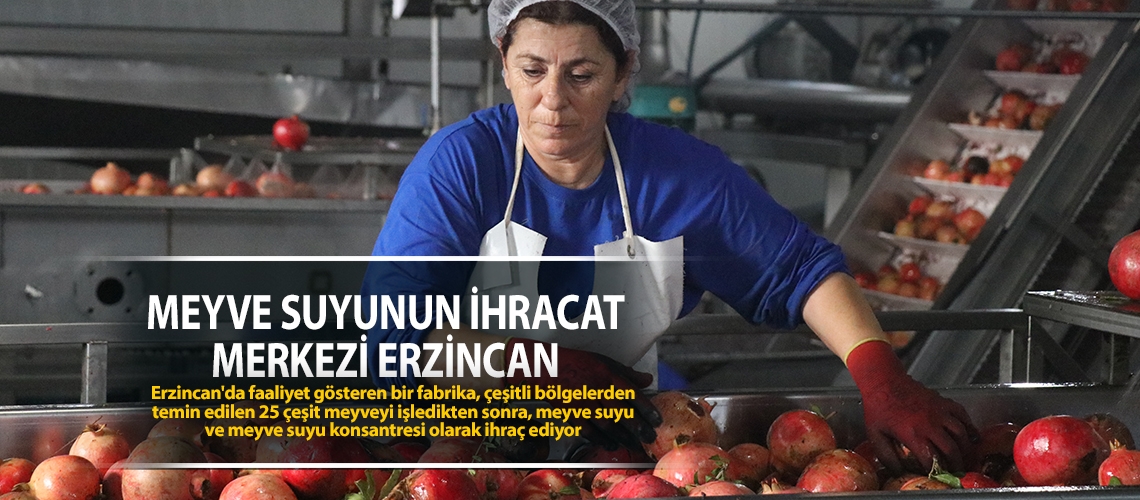 Meyve suyunun ihracat merkezi Erzincan