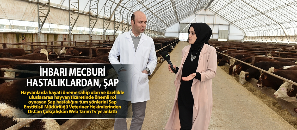 İhbarı mecburi hastalıklardan, ŞAP