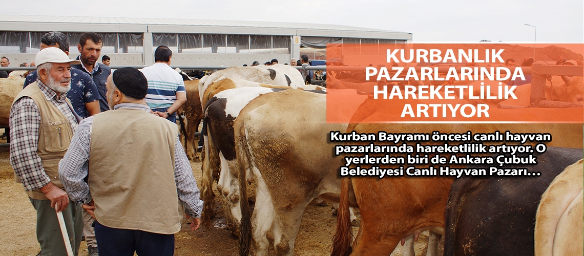 Kurbanlık pazarlarında hareketlilik artıyor