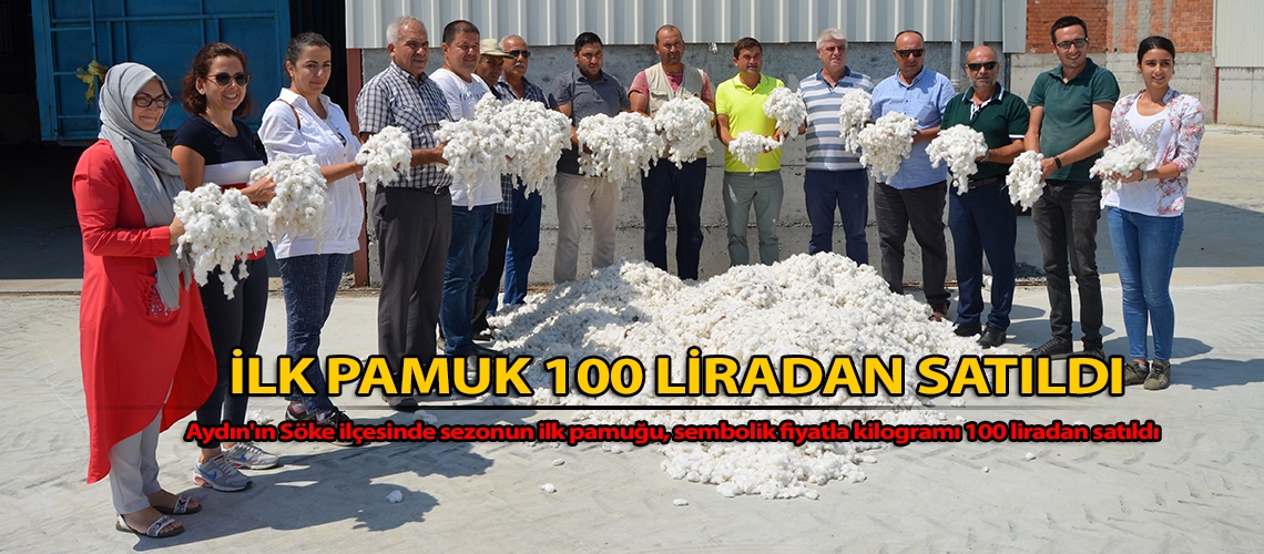 İlk pamuk 100 liradan satıldı