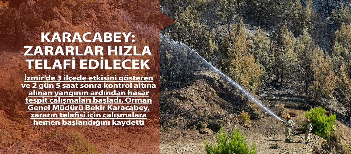 Karacabey: Zararlar hızla telafi edilecek