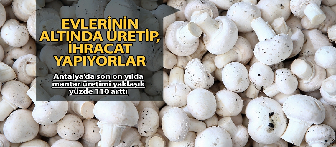 Evlerinin altında üretip, ihracat yapıyorlar