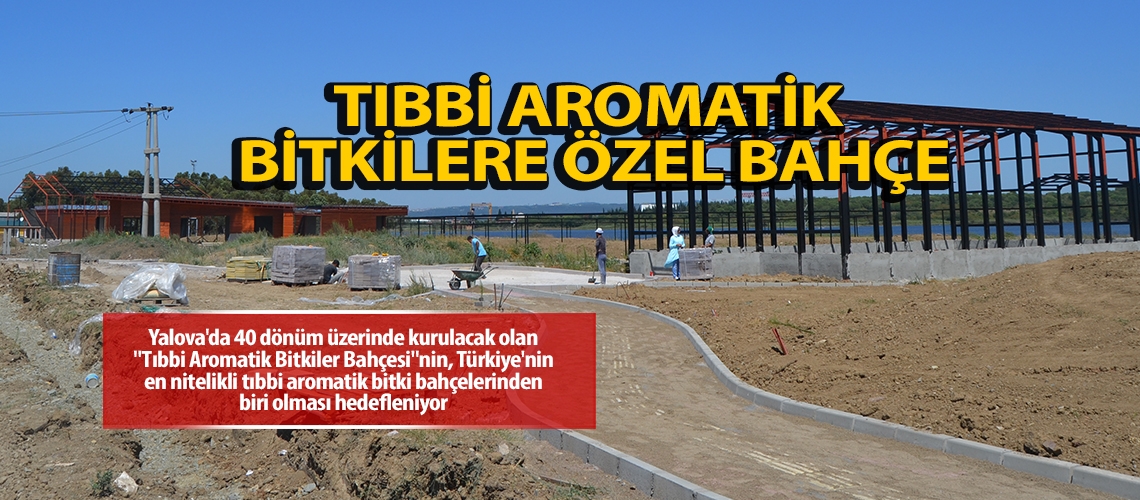 Tıbbi aromatik bitkilere özel bahçe