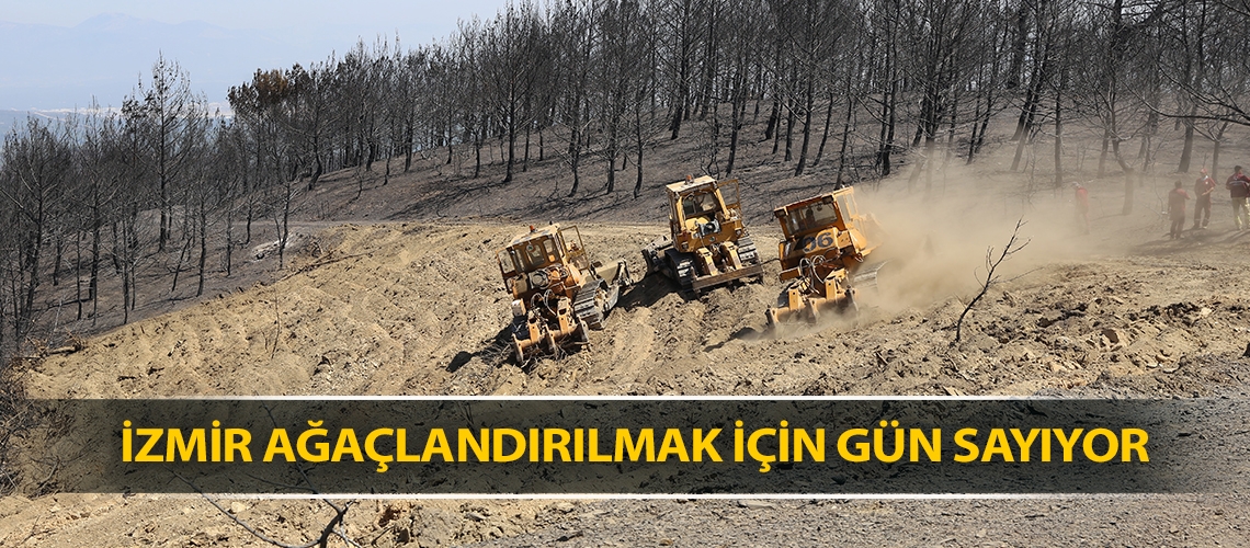 İzmir ağaçlandırılmak için gün sayıyor