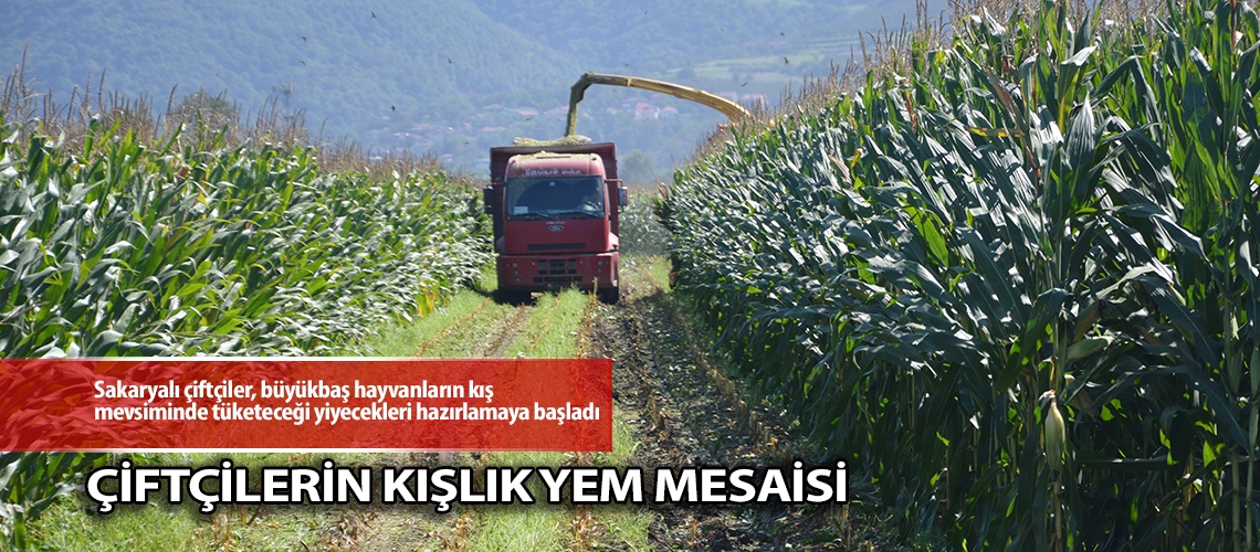 Çiftçilerin kışlık yem mesaisi