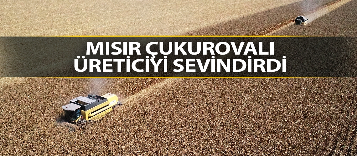 Mısır Çukurovalı üreticiyi sevindirdi