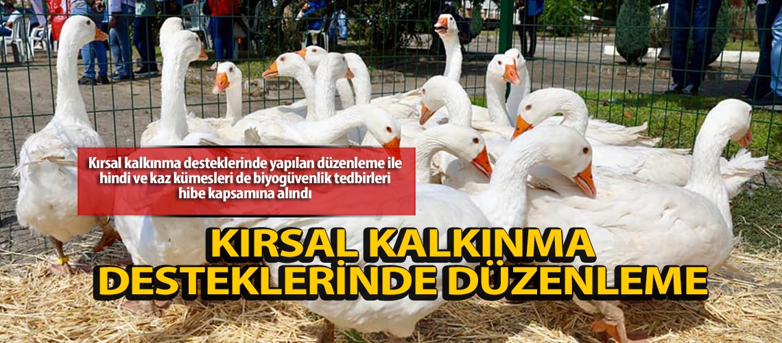 Kırsal kalkınma desteklerinde düzenleme