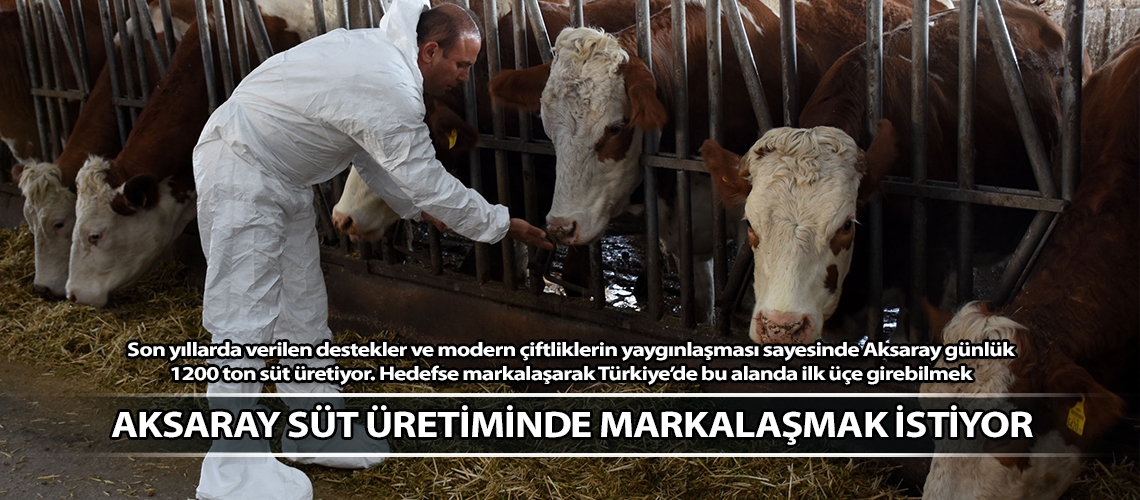 Aksaray süt üretiminde markalaşmak istiyor