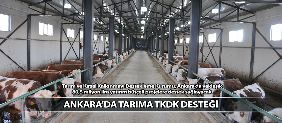 Ankara’da tarıma TKDK desteği