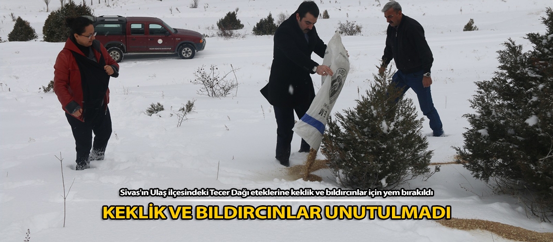 Keklik ve bıldırcınlar unutulmadı