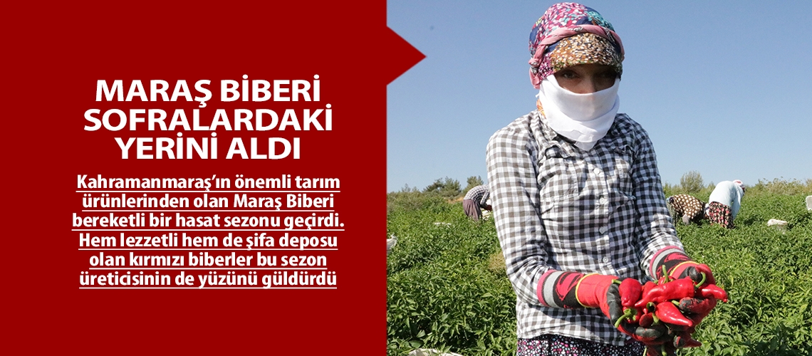 Maraş Biberi sofralardaki yerini aldı