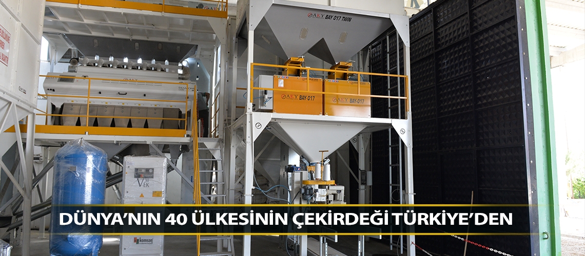 Dünya’nın 40 ülkesinin çekirdeği Türkiye’den