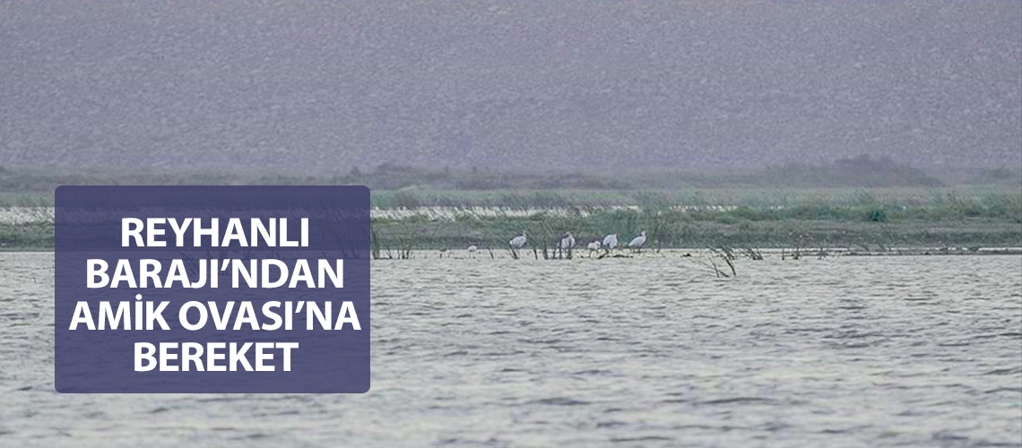 Reyhanlı Barajı’ndan Amik Ovası’na bereket