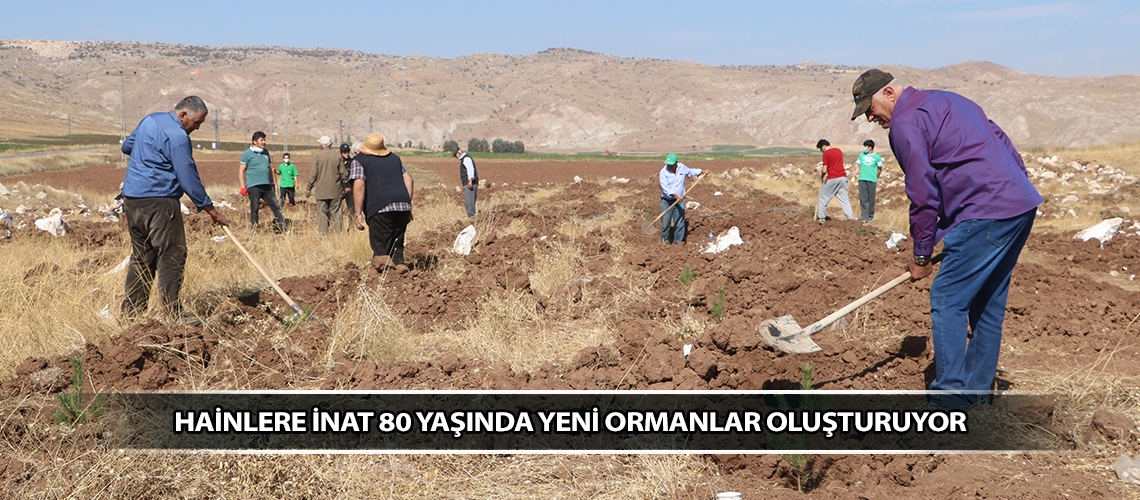 Hainlere inat 80 yaşında yeni ormanlar oluşturuyor