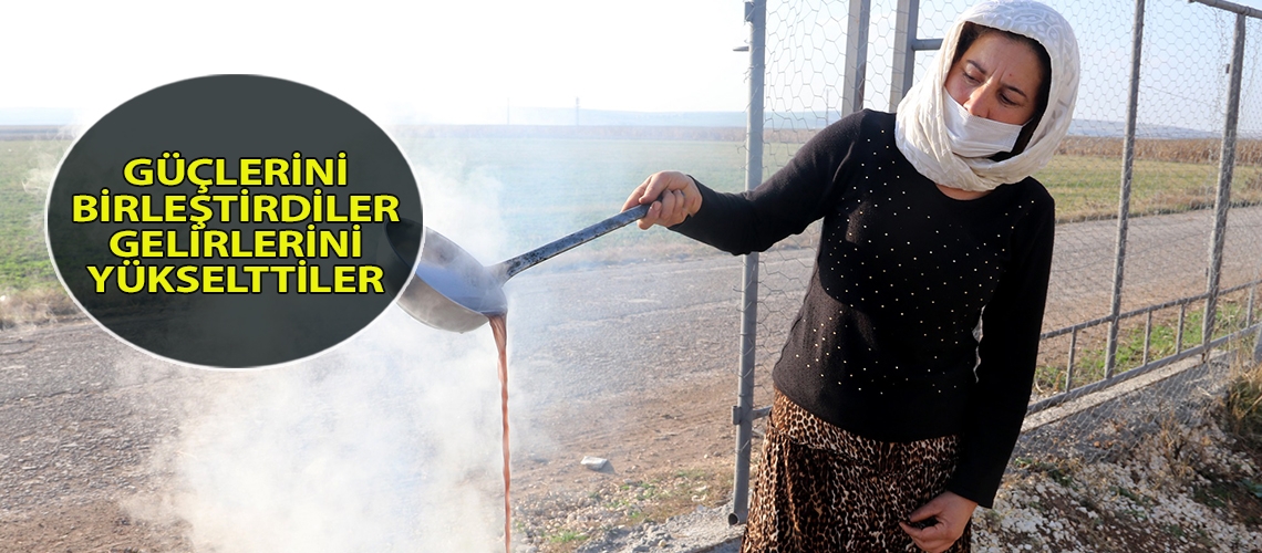 Güçlerini birleştirdiler gelirlerini yükselttiler