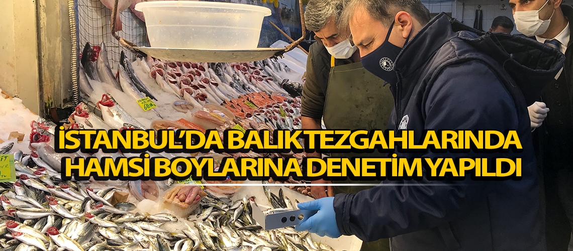 İstanbul’da balık tezgahlarında hamsi boylarına denetim yapıldı