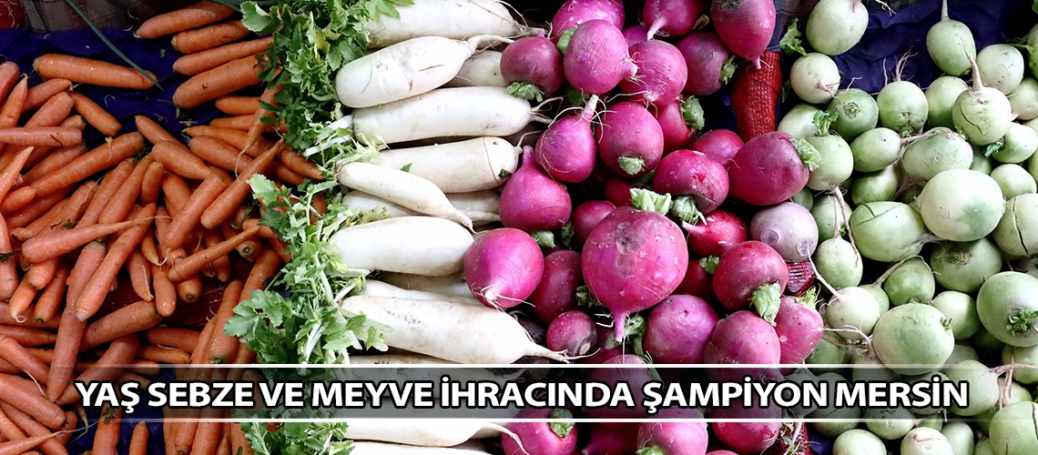 Yaş sebze ve meyve ihracında şampiyon Mersin