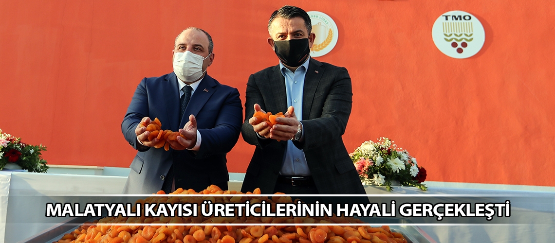 Malatyalı kayısı üreticilerinin hayali gerçekleşti