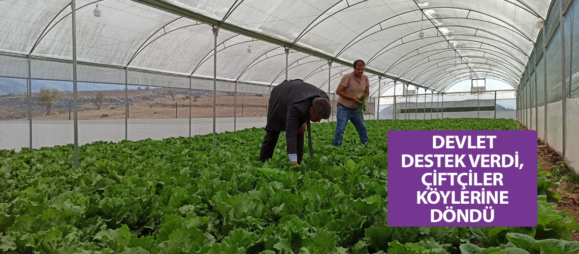 Devlet destek verdi, çiftçiler köylerine döndü