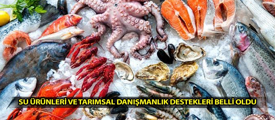 Su Ürünleri ve Tarımsal Danışmanlık destekleri belli oldu