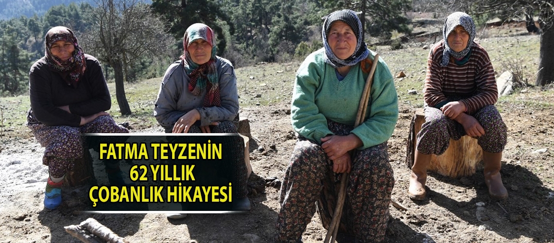 Fatma teyzenin 62 yıllık çobanlık hikayesi