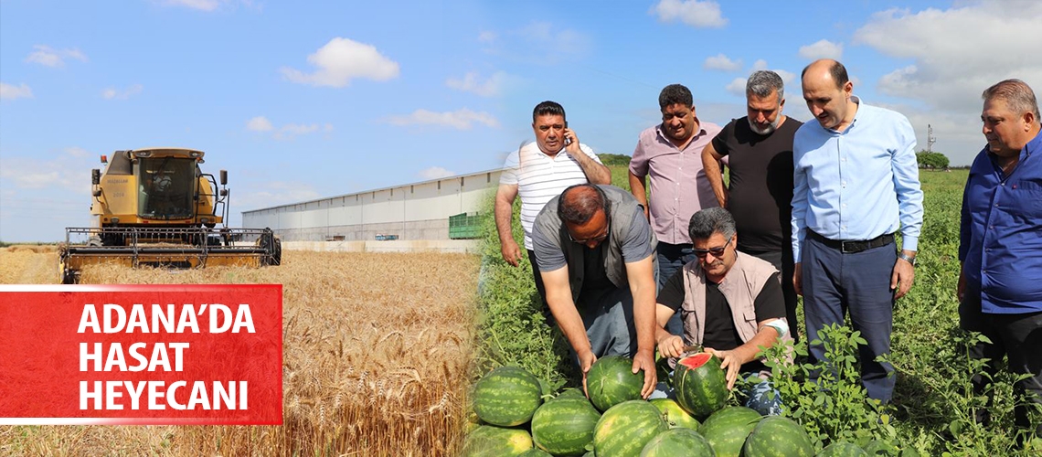 Adana’da hasat heyecanı