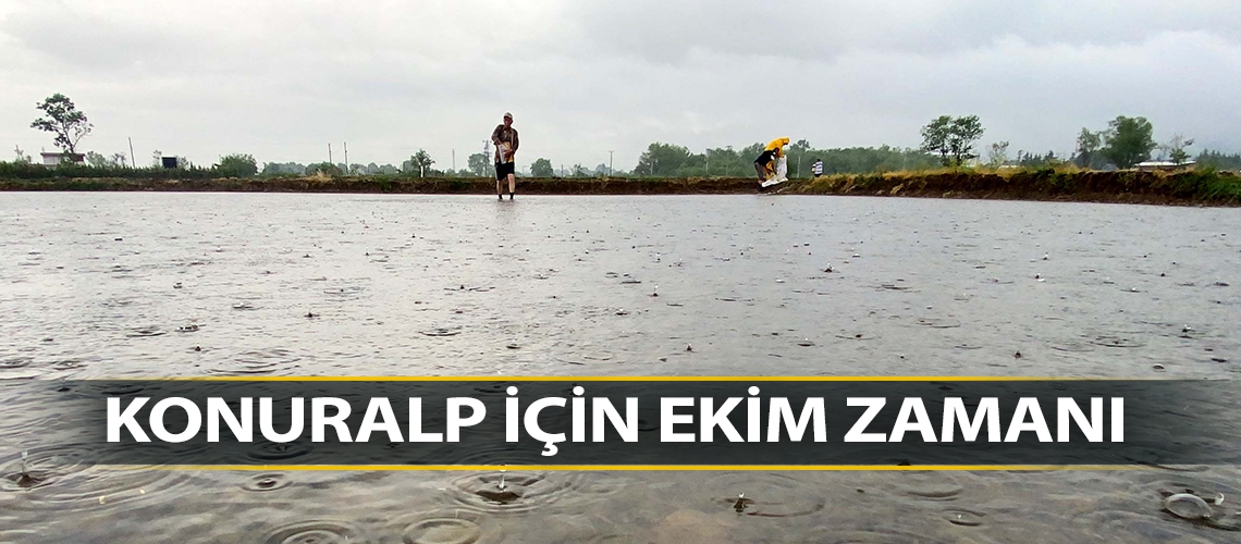 Konuralp için ekim zamanı