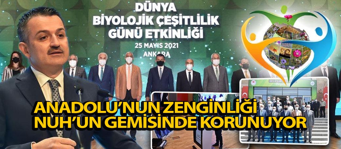 Anadolu’nun zenginliği Nuh’un Gemisinde korunuyor