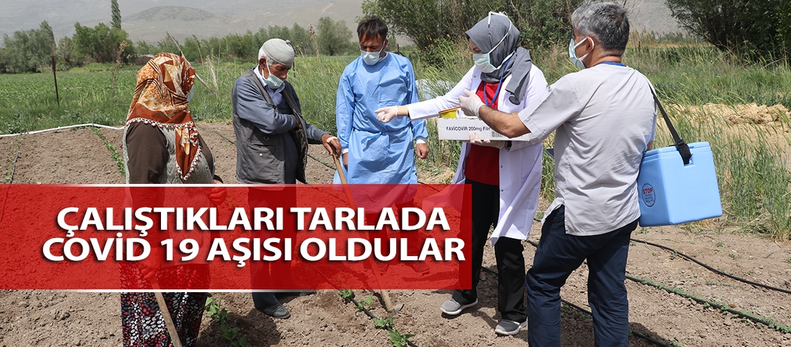 Çalıştıkları tarlada covid 19 aşısı oldular