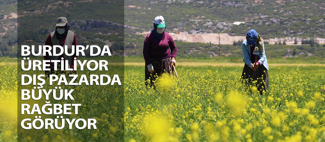 Burdur’da üretiliyor dış pazarda büyük rağbet görüyor