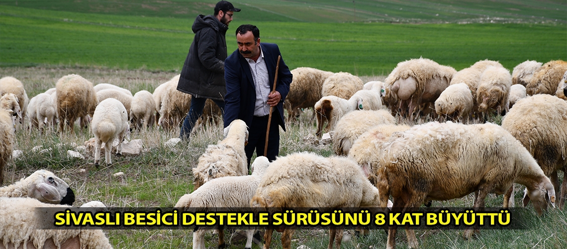 Sivaslı besici destekle sürüsünü 8 kat büyüttü