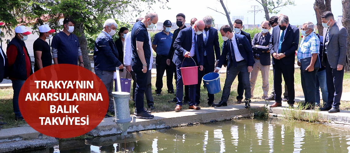 Trakya’nın akarsularına balık takviyesi