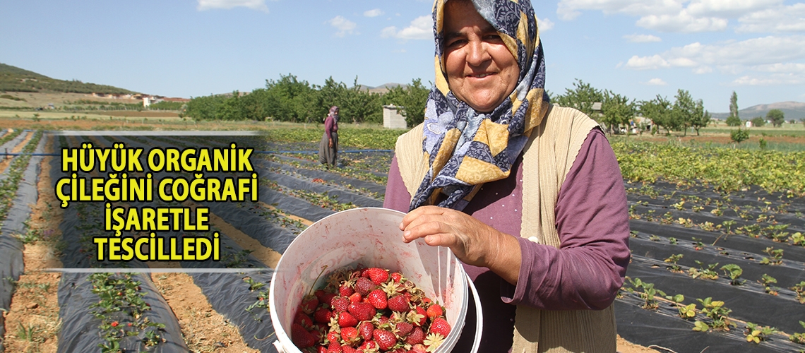 Hüyük organik çileğini coğrafi işaretle tescilledi