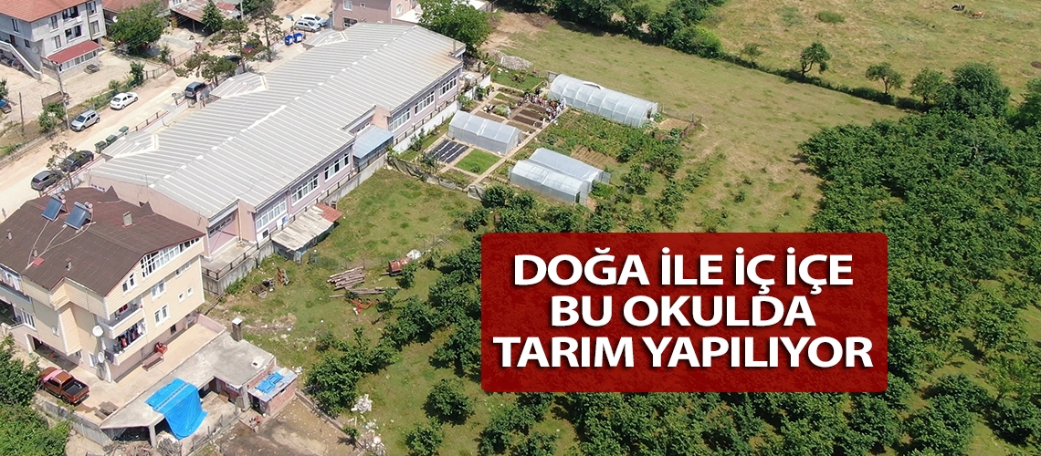 Doğa ile iç içe bu okulda tarım yapılıyor