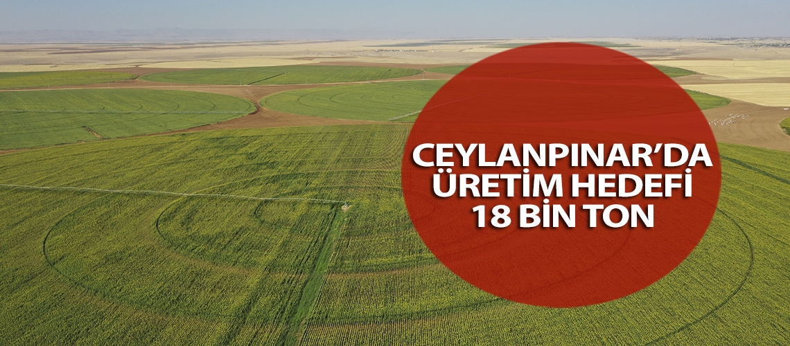 Ceylanpınar’da üretim hedefi 18 bin ton